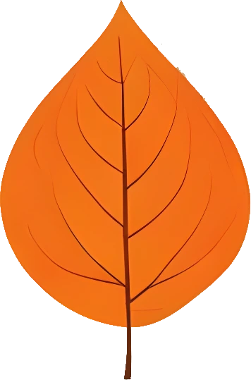 Downloadable Transparent Leaf PNG Image_19.webp
